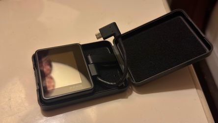 Go Pro monitor