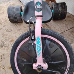  2 BassAss MaddGear 3wheelers 