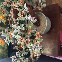 bonsai Jade