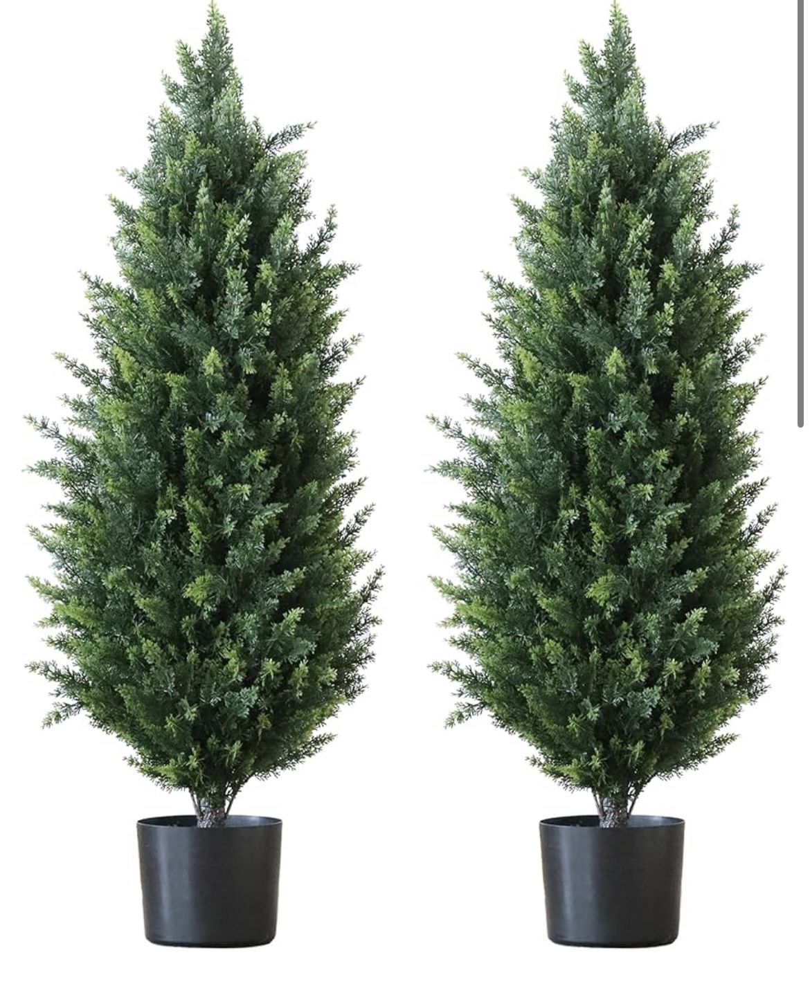 Topiary Tree