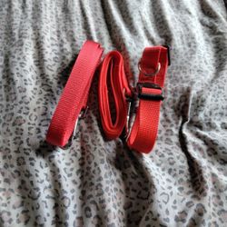 2 Leashes And Dog Collar Not used 