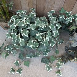 5+ Artificial Plants