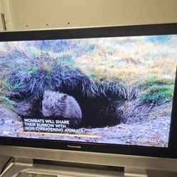 Panasonic plasma tv 42”