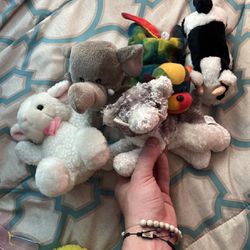 Different Stuffed Animals 
