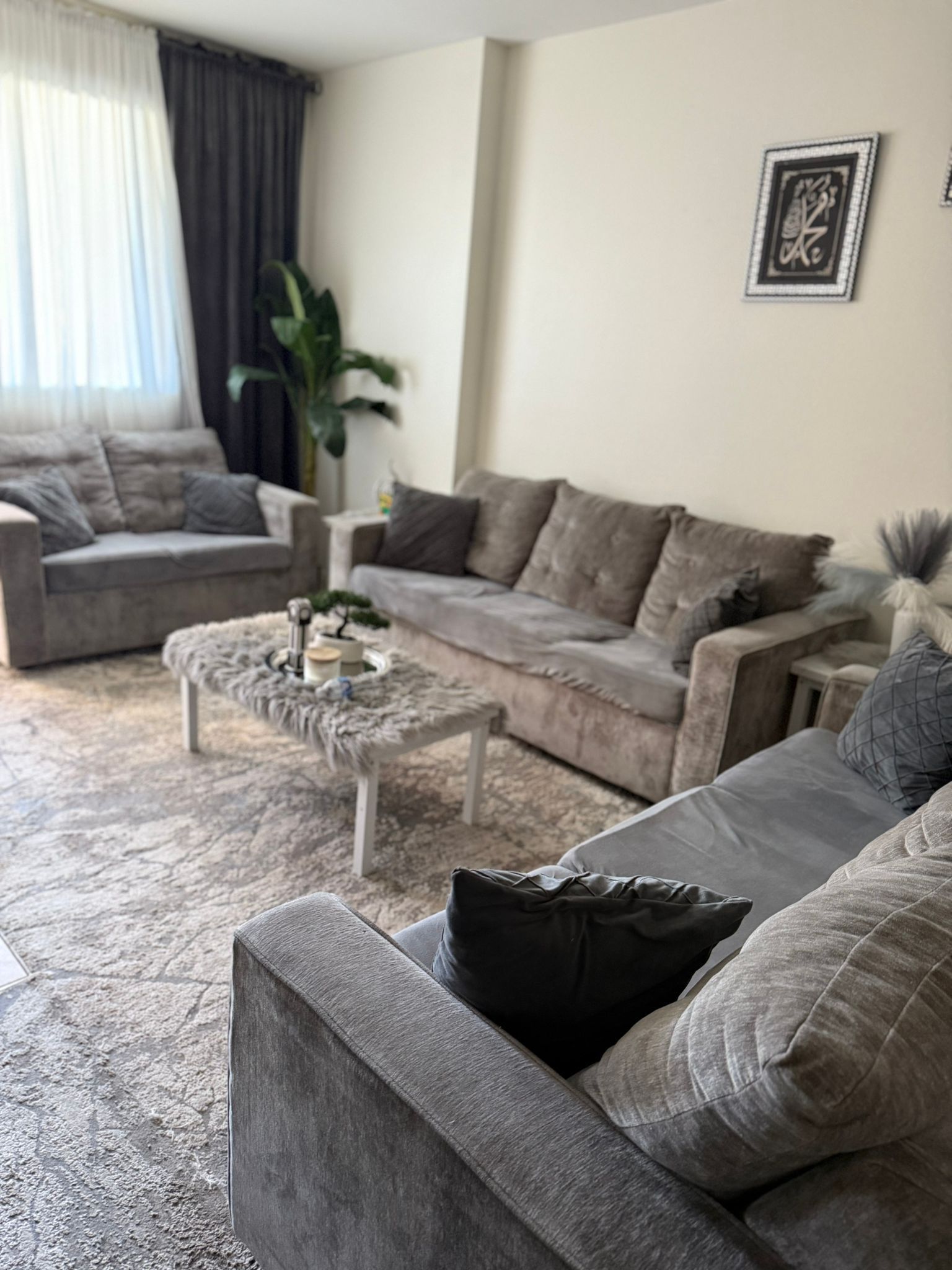  Gray Sofa