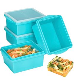 2 Cup Silicone Freezer Trays with Lids, Silicone Soup Freezer Molds (4 pack)