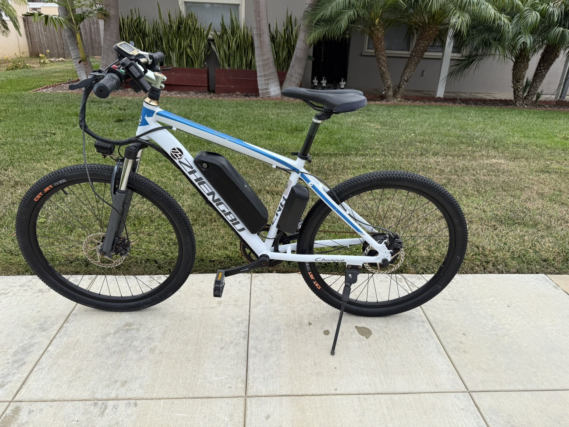 Zhengbu Chaoyoe Electric Bike