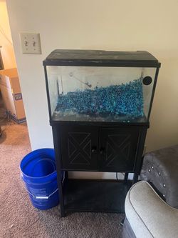 Fish tank with stand