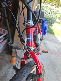 Bianchi ocelot ebike