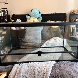 Reptile Enclosed With Accessories 