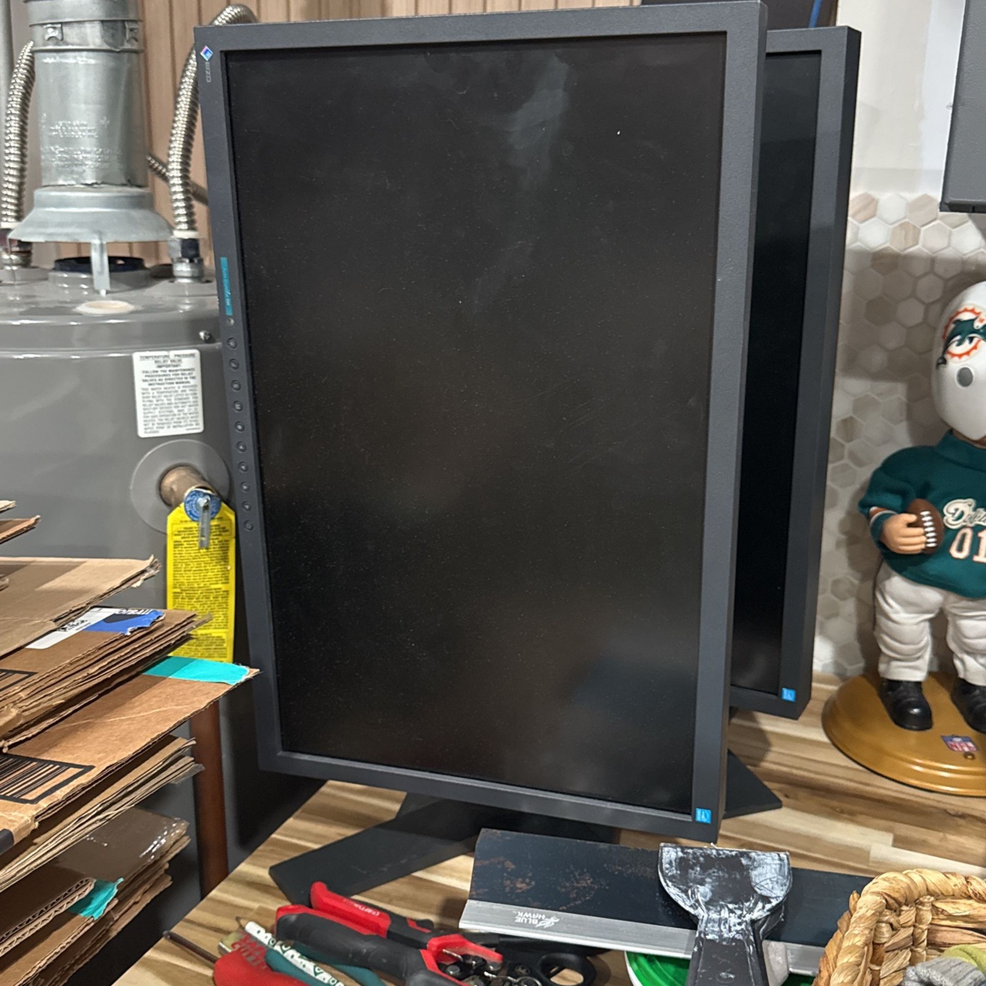 2 EIZO Computer Monitors 
