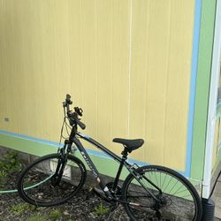 Orbea Bike