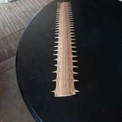 Saw Fish Rostrum Rare 24 Inchs Long All Teeth Are There