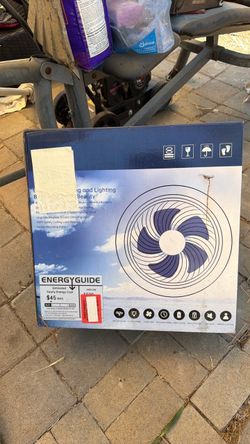 Light fan