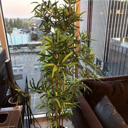 IKEA Artificial plant 