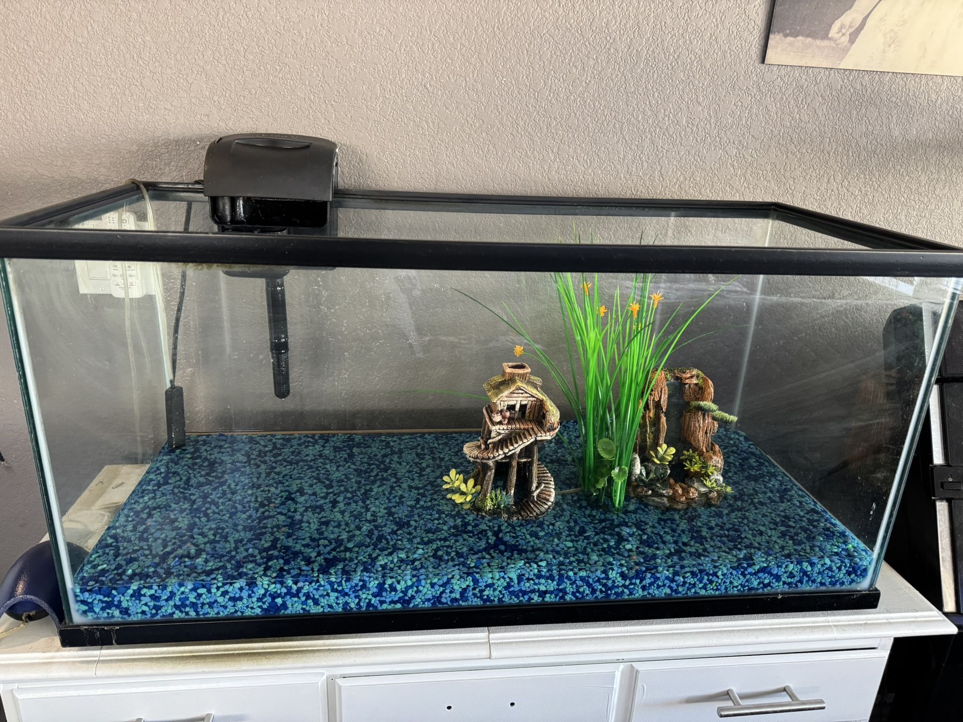 40 Gal Fish Tank w Filter Rocks Air Bubbler Decor