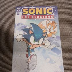 Sonic The Hedgehog Annual #1 (2024) cover a
$