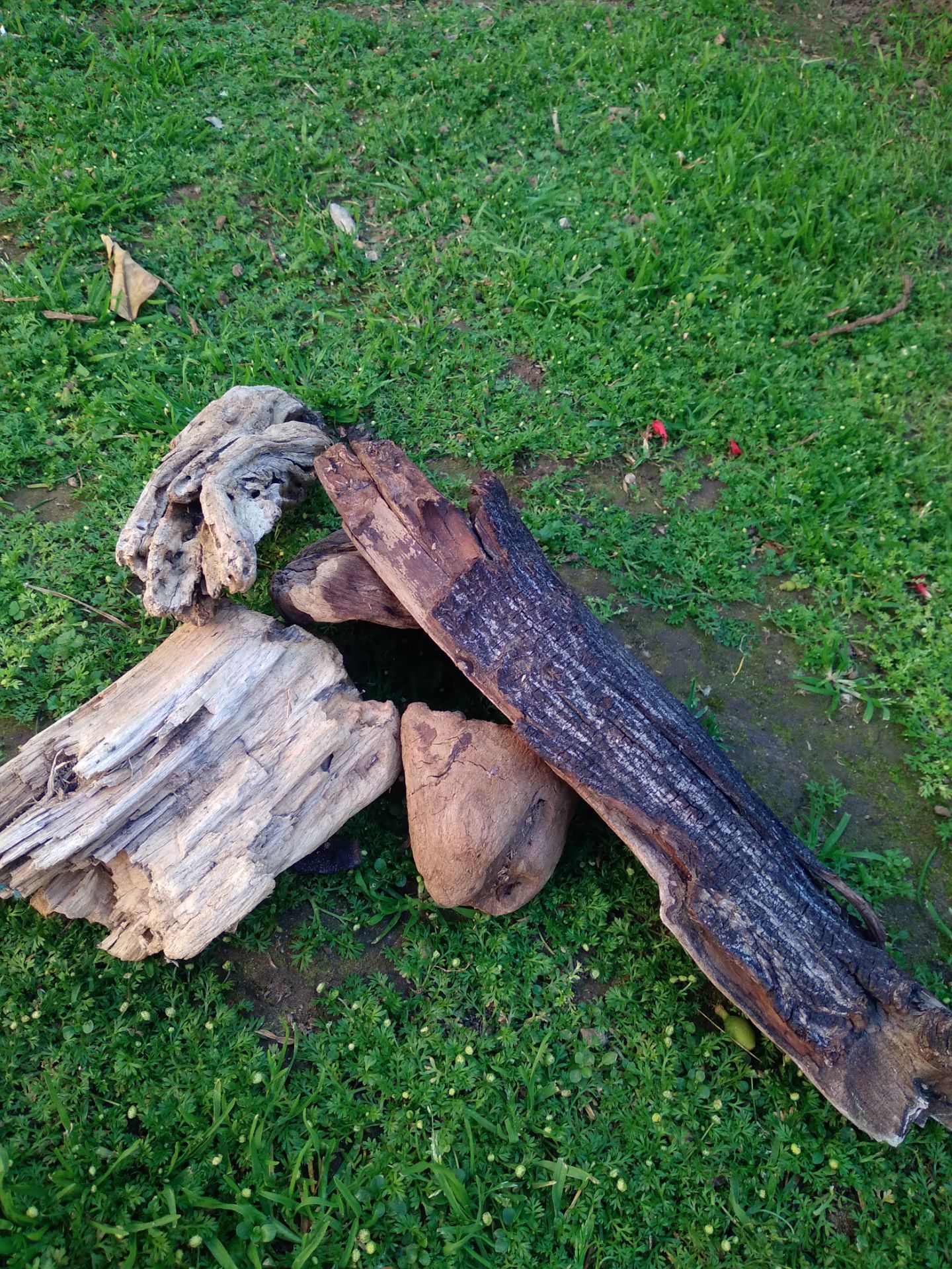 5 Pieces Of Natural Driftwood For Aquariums Terrariums Decor