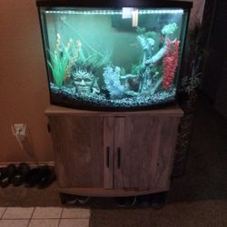 35 Gallon Fish Tank With Stand