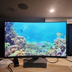32" Dell Curved Gaming Monitor 165hz 