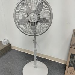 Pedestal Fans