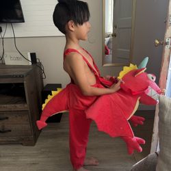 Halloween Costume, Dragon Costume