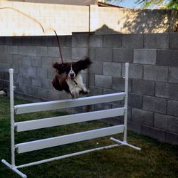 Agility Dog Jump Kit