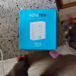 ECHO FLEX 