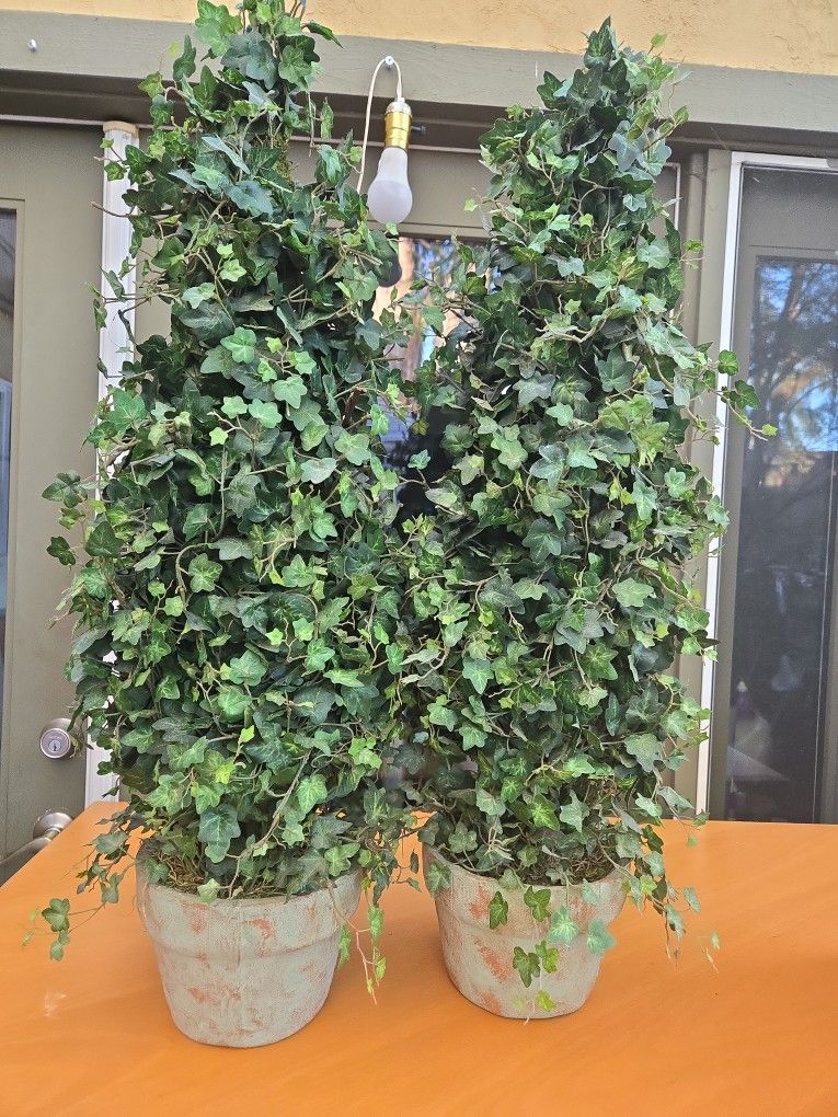 🌿 Pair of Decorative Ivy Topiary Plants – Realistic & Elegant 🌿