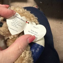 TY Attic treasure collection Vintage, Salty Bear