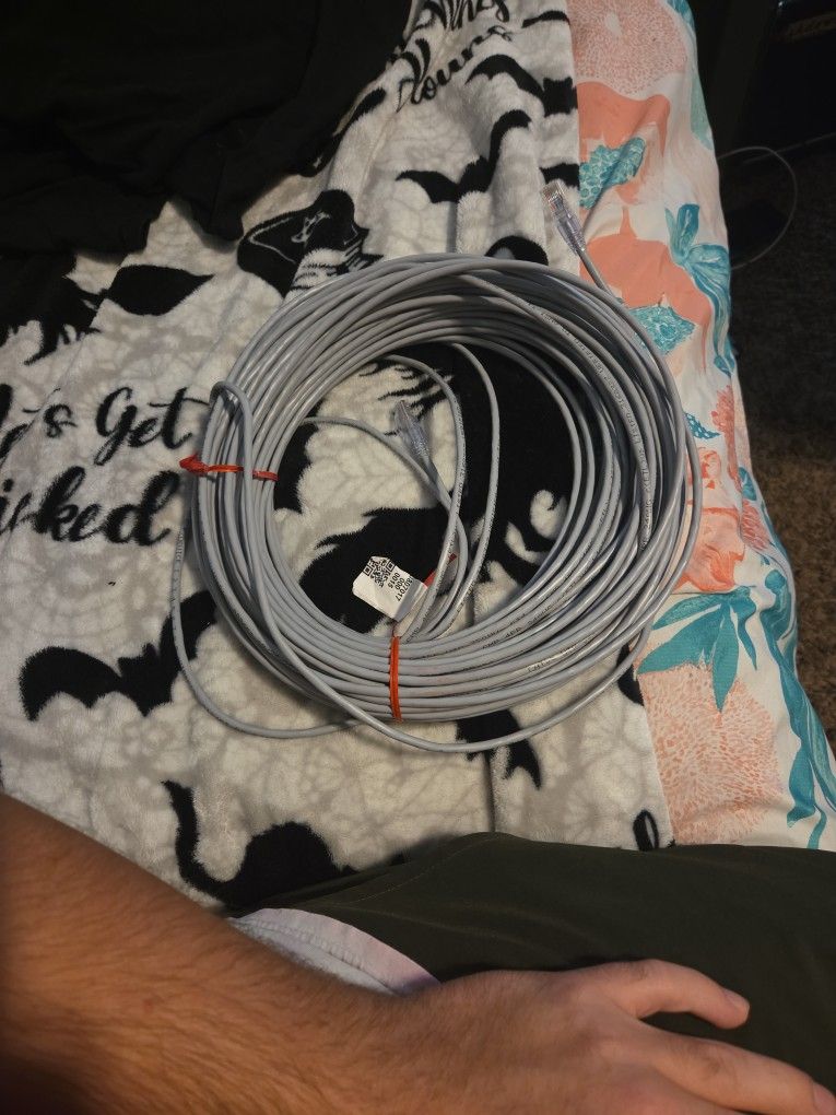 Ether Net Cable (100ft)
