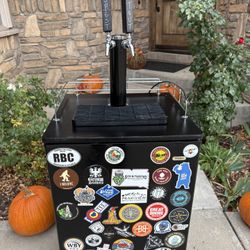 Dual tap Homebrewer Kegerator