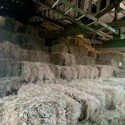 LOCAL GRASS HAY