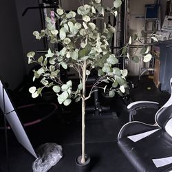 6ft Artificial Eucalyptus Silk Plants in Pot