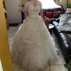 Quinceañera Or Wedding Dress (Original Price $800)