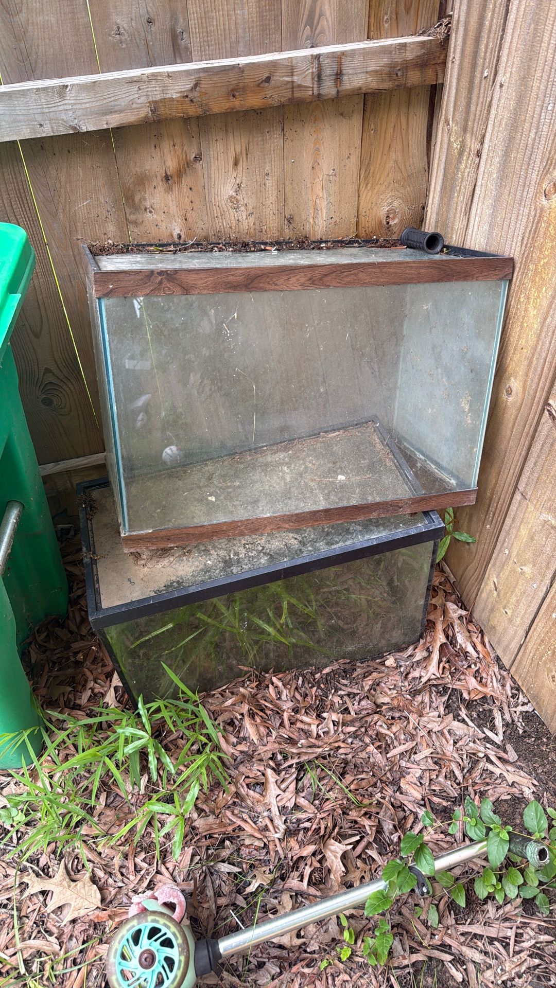Fish Tank