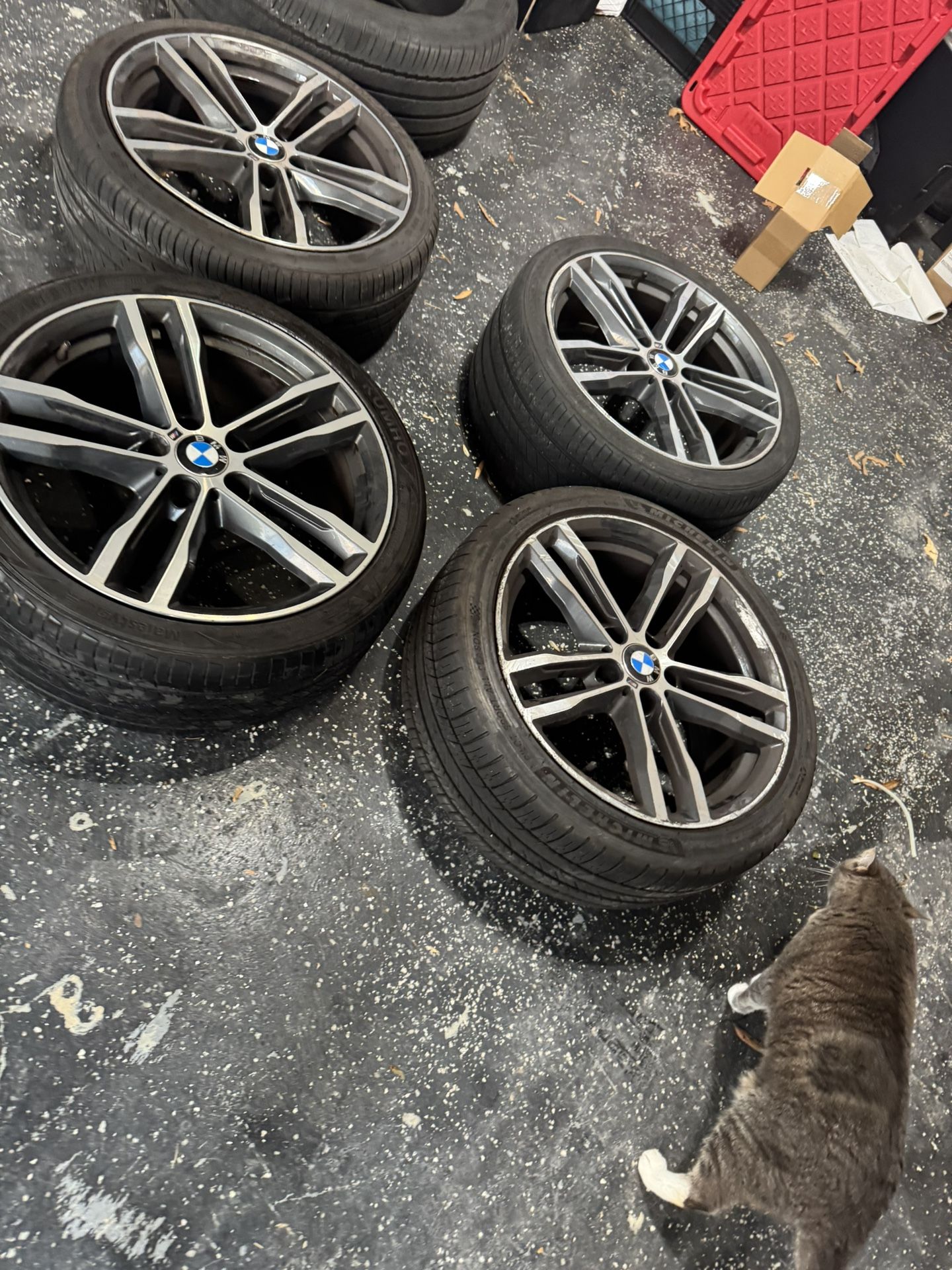 19in BMW Msport Rims