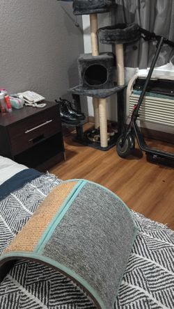 Kitty cat scratching post