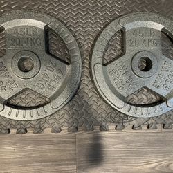 90lbs. of Olympic Grip Weights 