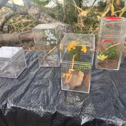 Reptile/Fish/Spider Supplies