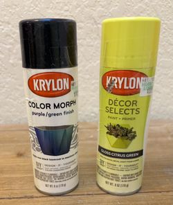 Krylon Spray Paint