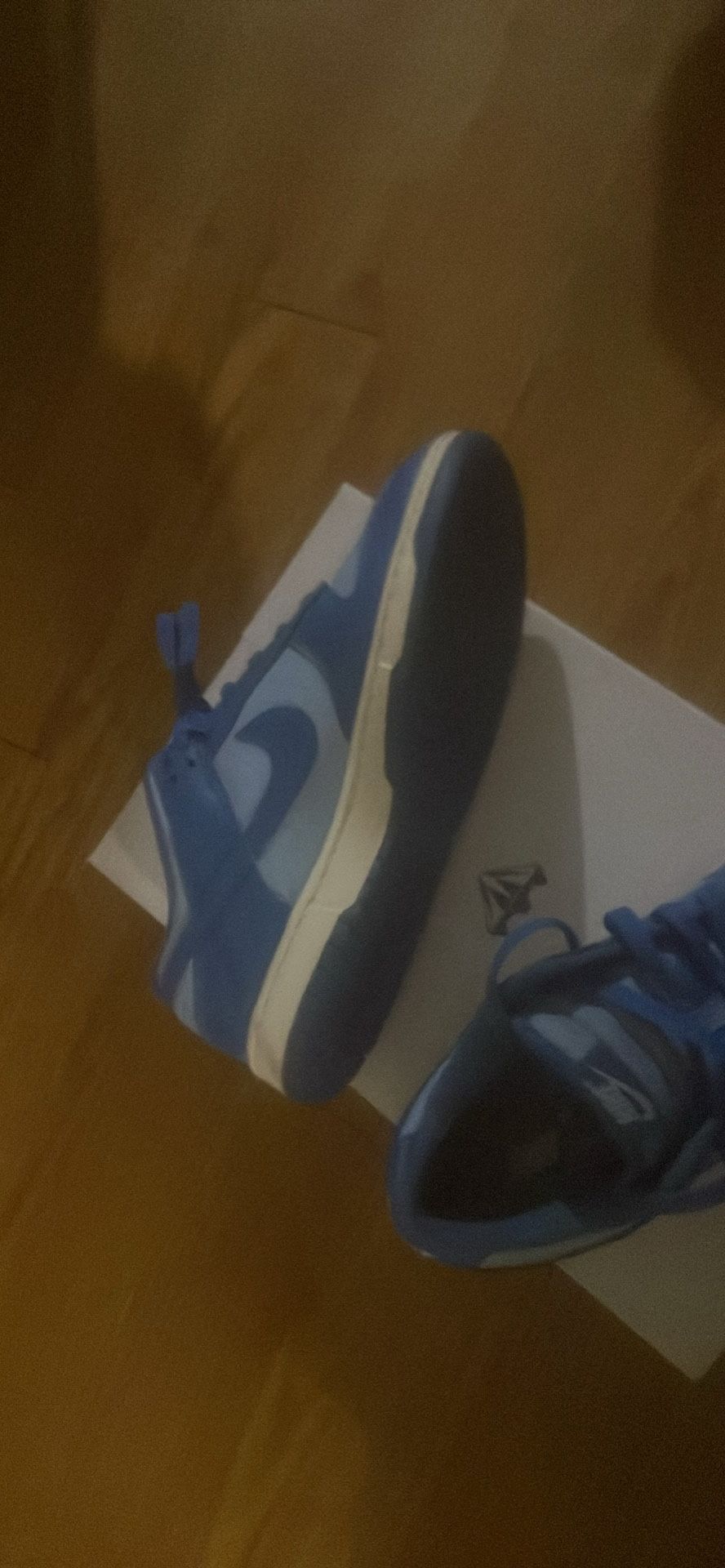 Blue Dunks