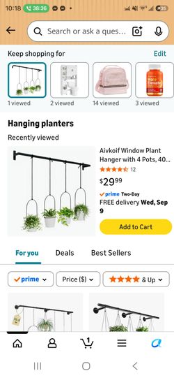 New hanging wall decor. Green plants not includes $29