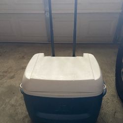Igloo Cooler 