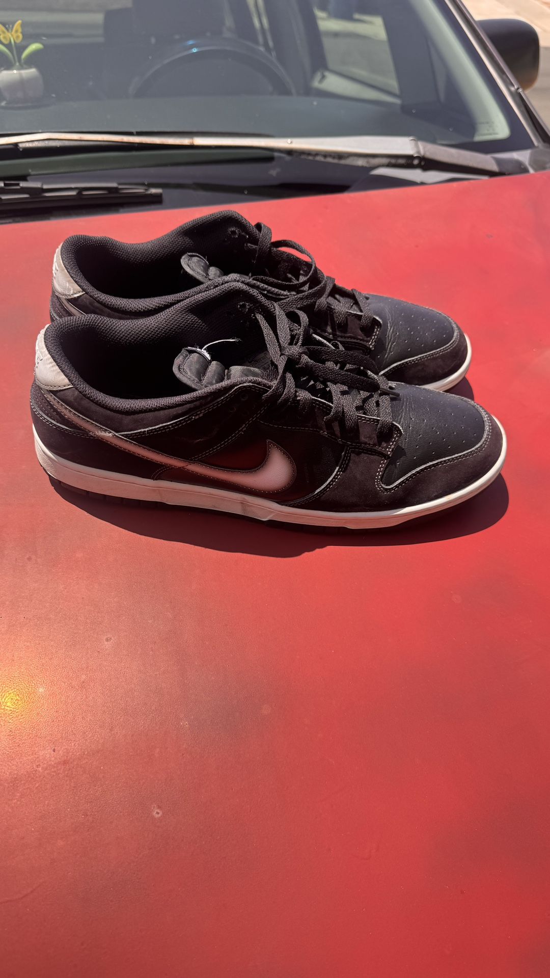 Nike Sb Dunk Size 14