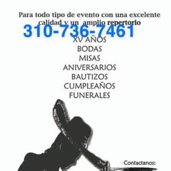 Mariachi violín de musica