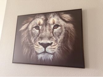 Lion of Judah framed picture