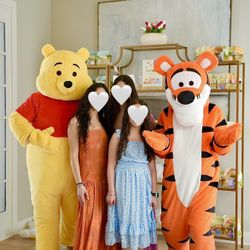 Mascot Costume Pooh Bear And Tiger