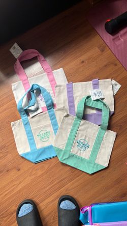 Trader joe’s canvas mini bag