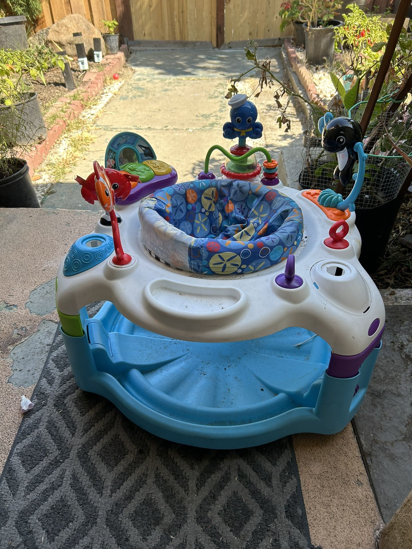 Saucer For Baby